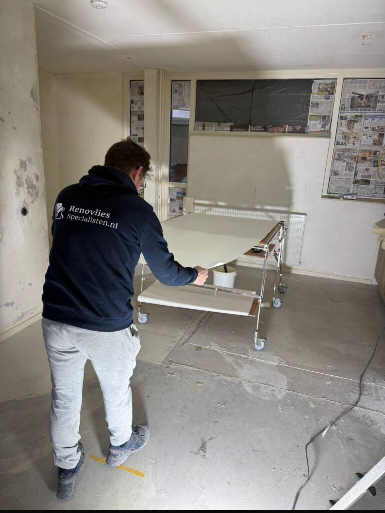 Blog afbeelding Renovlies Specialisten